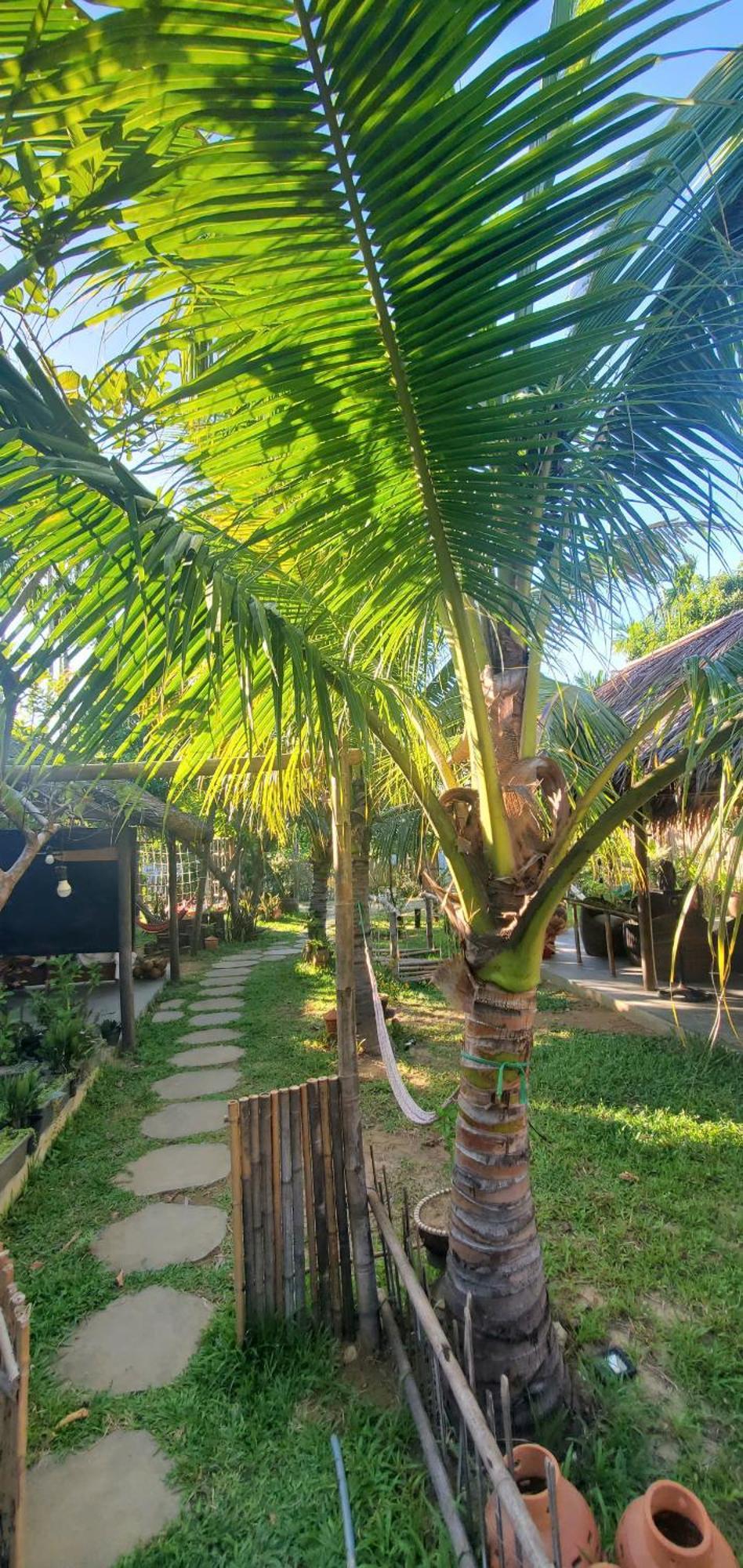 Home Farm Villa Hoi An Exterior foto