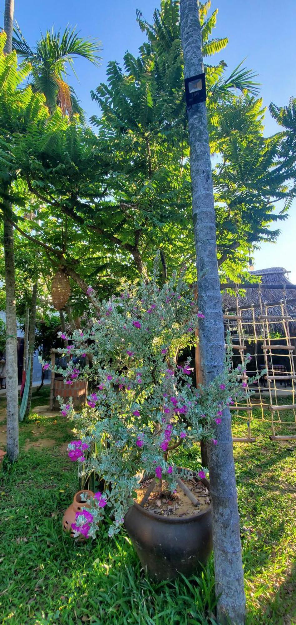 Home Farm Villa Hoi An Exterior foto