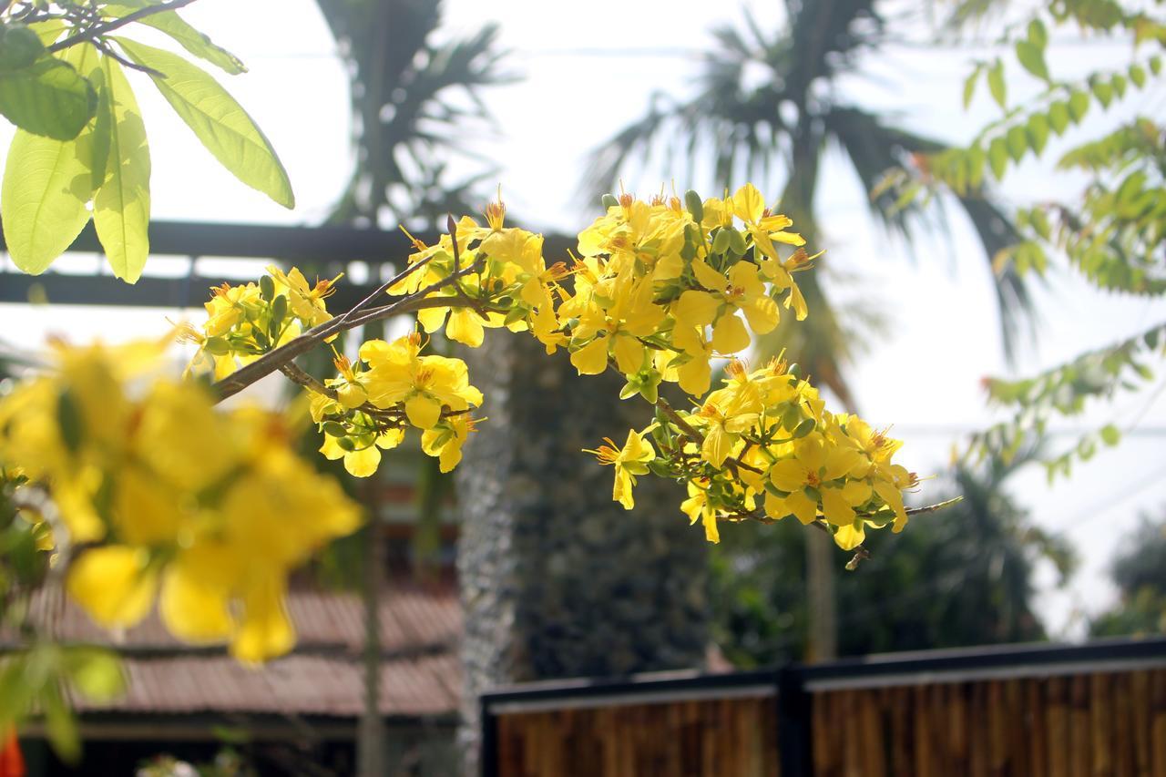 Home Farm Villa Hoi An Exterior foto