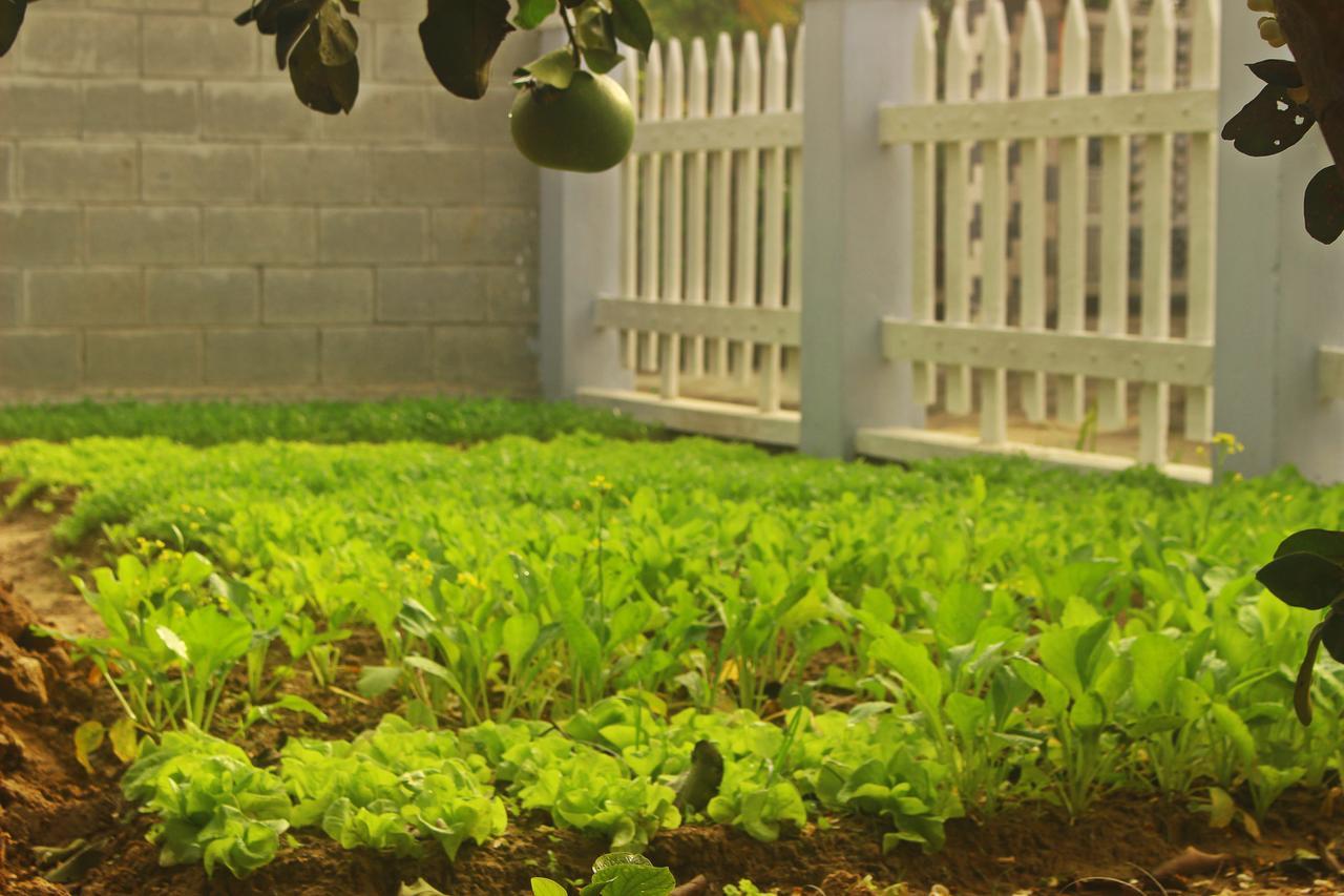 Home Farm Villa Hoi An Exterior foto